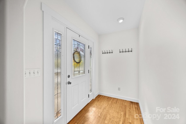 entryway with wood-type flooring and plenty of natural light