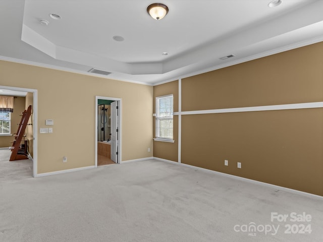 carpeted spare room with a healthy amount of sunlight, a raised ceiling, and crown molding