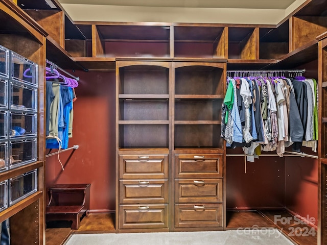 view of walk in closet