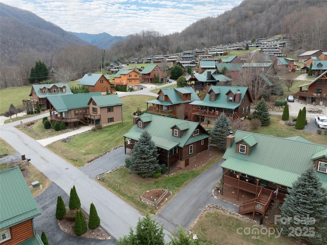 birds eye view of property with a mountain view