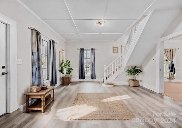 entryway featuring light hardwood / wood-style flooring and a healthy amount of sunlight