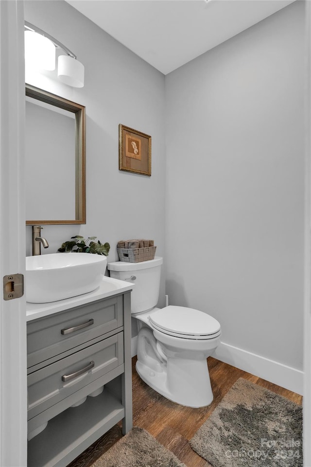 bathroom featuring vanity, toilet, and wood-type flooring