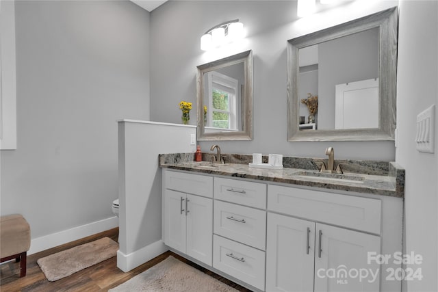 bathroom with hardwood / wood-style floors, vanity, and toilet