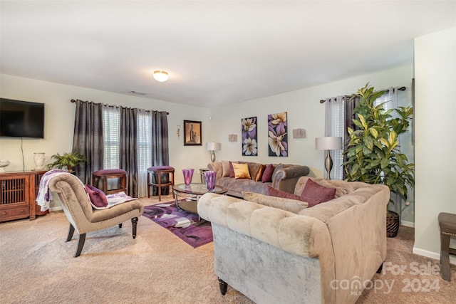 living room featuring carpet