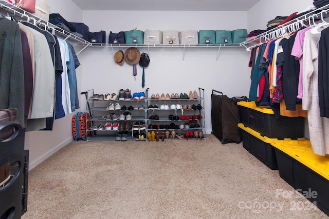 walk in closet with carpet