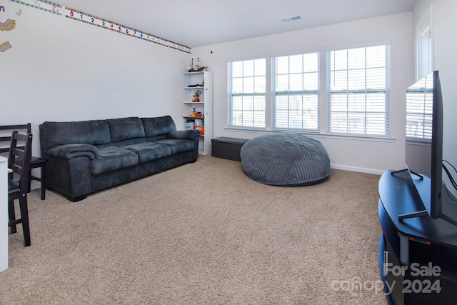 carpeted living room with a wealth of natural light