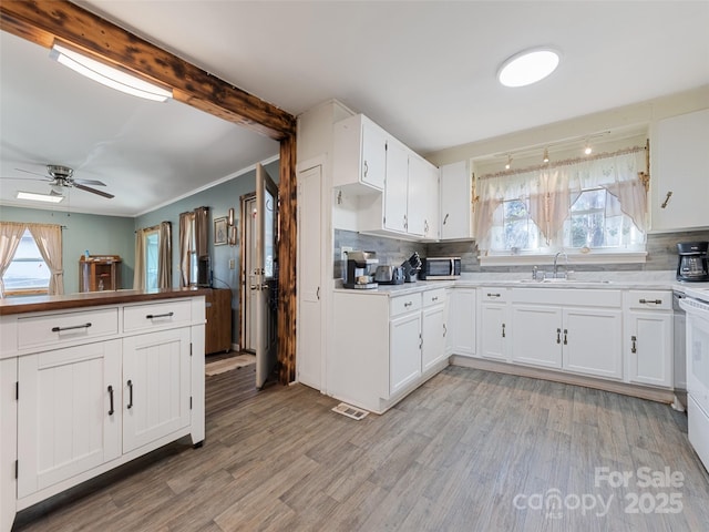 kitchen featuring white cabinetry, plenty of natural light, light hardwood / wood-style floors, and sink