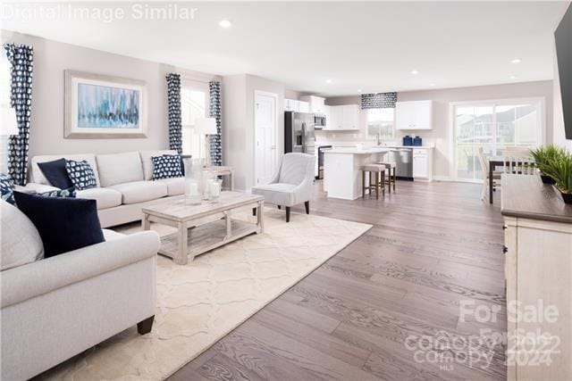 living room featuring light hardwood / wood-style floors