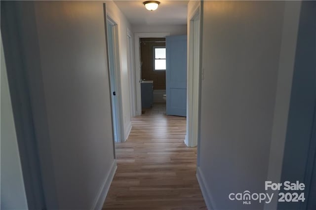 hallway featuring wood-type flooring