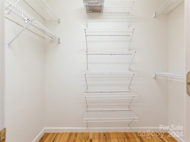 walk in closet featuring wood-type flooring