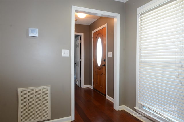 foyer featuring a wealth of natural light and dark wood-type flooring