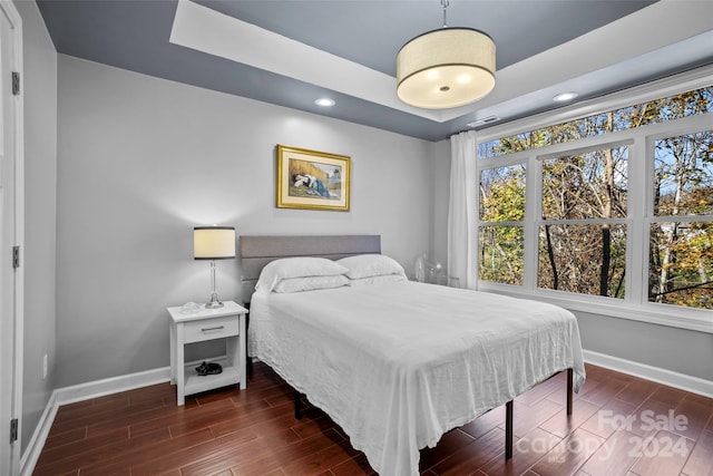 bedroom featuring dark hardwood / wood-style flooring and a tray ceiling