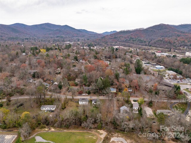 117 Cragmont Rd, Black Mountain, NC 28711 - photo 19