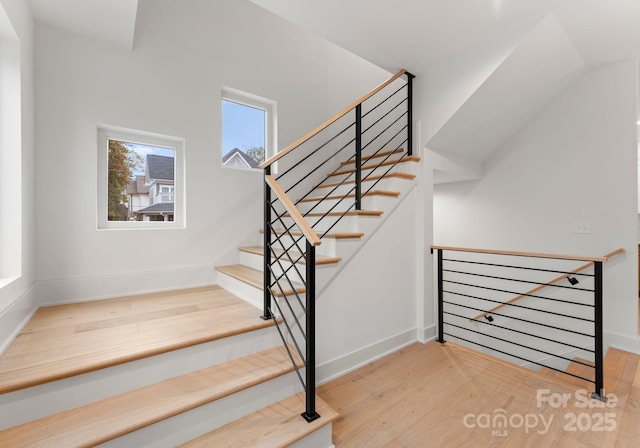 staircase featuring wood-type flooring