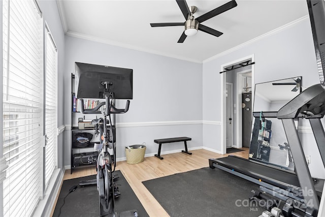 exercise room featuring hardwood / wood-style floors, ceiling fan, and crown molding