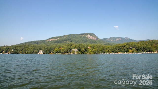 property view of water featuring a mountain view