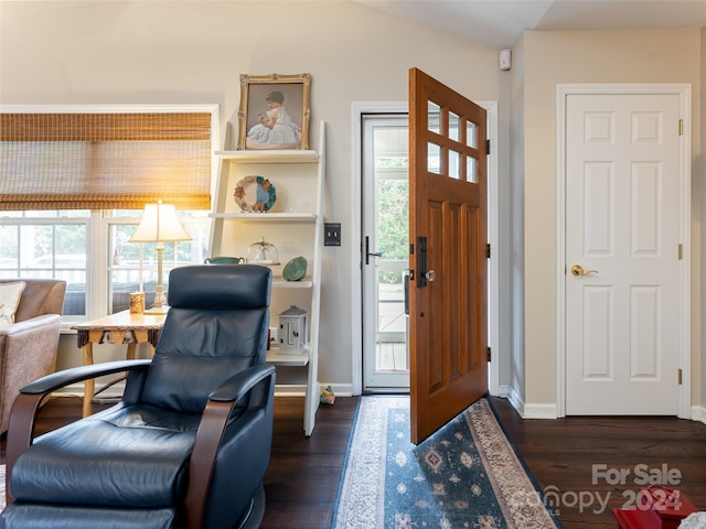 entryway with lofted ceiling, dark wood-type flooring, and a wealth of natural light