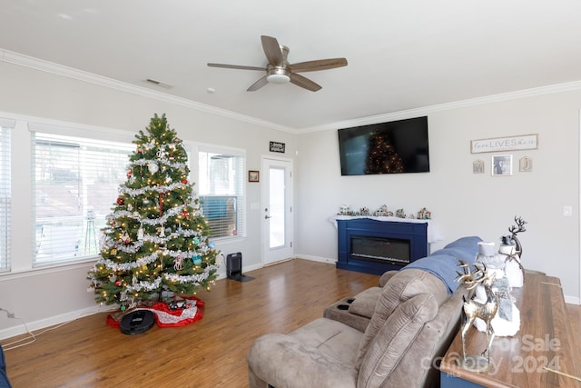 living room with dark hardwood / wood-style floors, ceiling fan, and crown molding