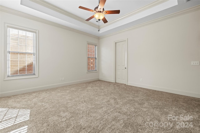 carpeted empty room featuring a raised ceiling, ceiling fan, and crown molding