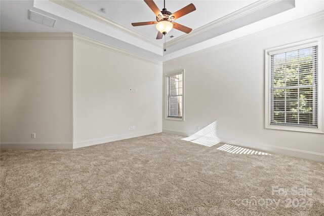 carpeted empty room with a raised ceiling, ceiling fan, and ornamental molding