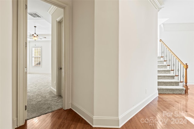 hallway with wood-type flooring and crown molding