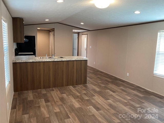 kitchen with vaulted ceiling, kitchen peninsula, a wealth of natural light, and dark hardwood / wood-style floors