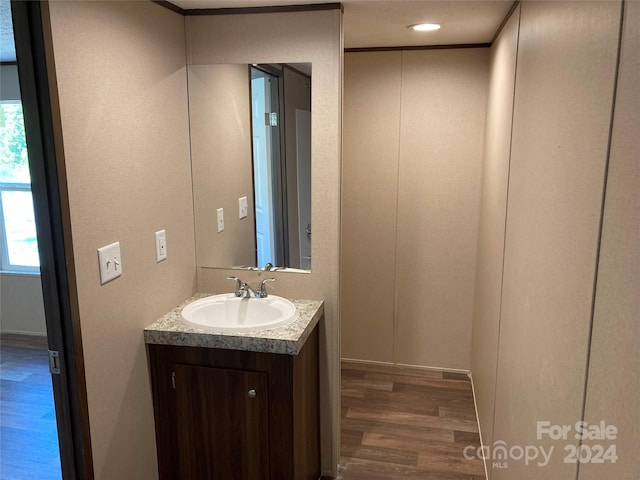 bathroom with vanity and hardwood / wood-style flooring