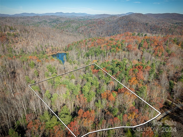 TBD Knight Rd, Saluda NC, 28773 land for sale