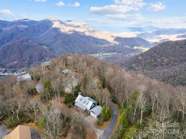 12 Belisle Ln, Maggie Valley, NC 28751 - photo 4