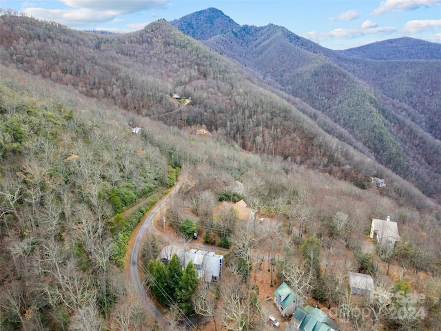 12 Belisle Ln, Maggie Valley, NC 28751 - photo 5