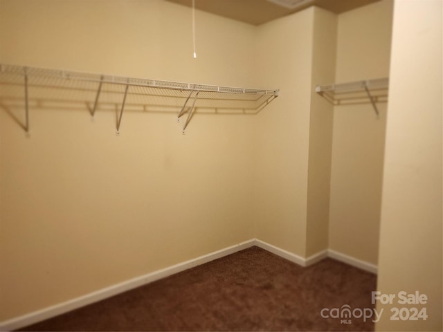 walk in closet with dark colored carpet