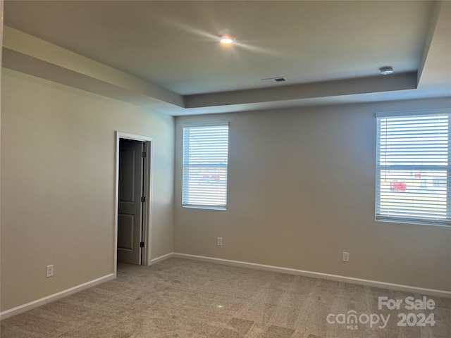 empty room featuring light colored carpet and a healthy amount of sunlight