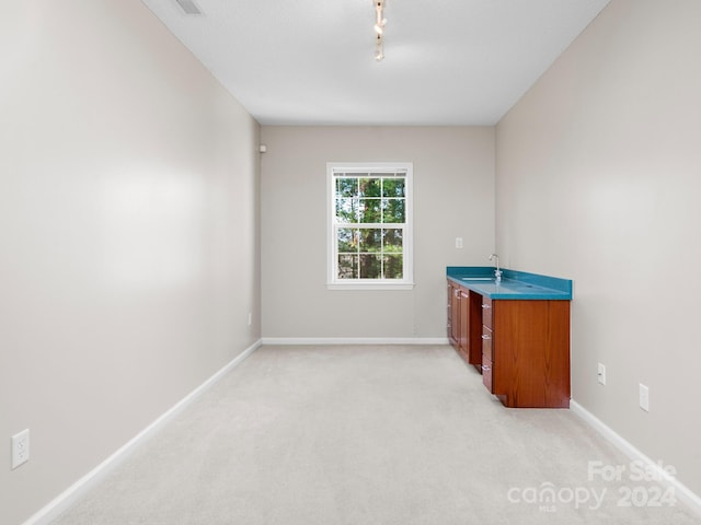 spare room with sink, rail lighting, and light colored carpet