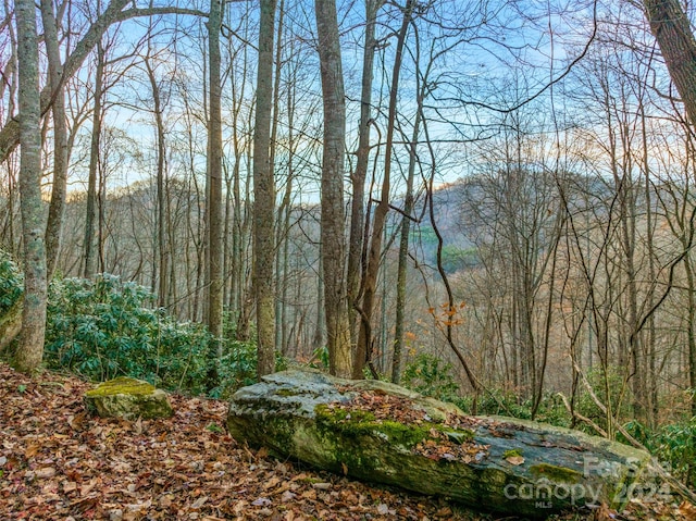 370 Cabin Creek Trl, Mars Hill NC, 28754 land for sale