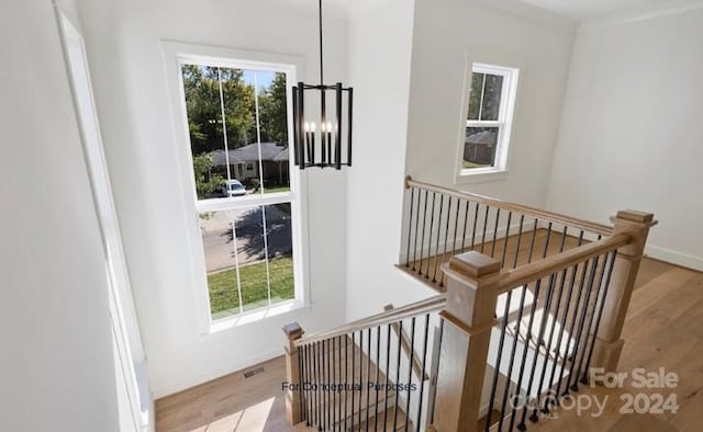 staircase with wood-type flooring and an inviting chandelier