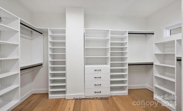 spacious closet with hardwood / wood-style floors