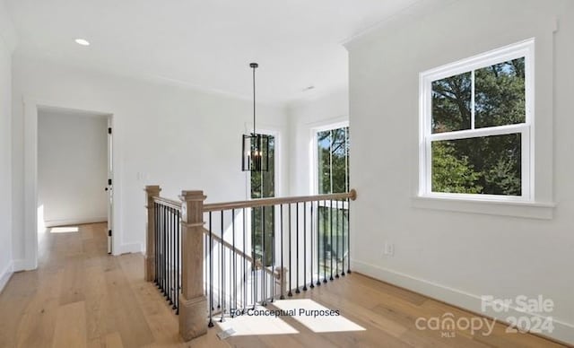 hallway featuring light hardwood / wood-style floors and an inviting chandelier