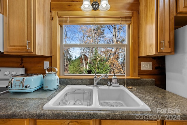 details with dark stone countertops and sink