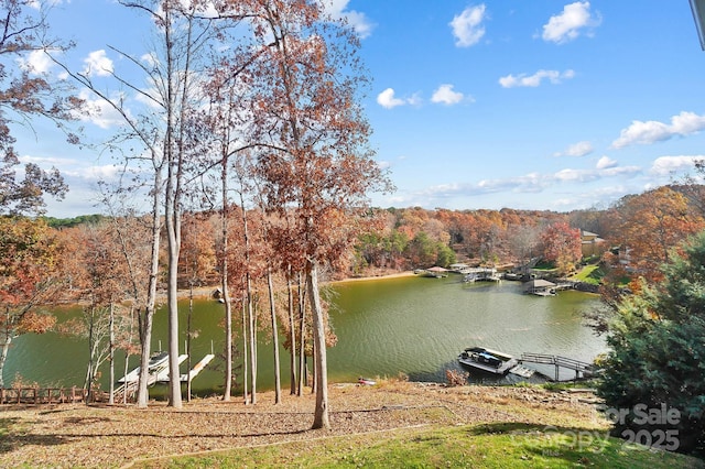 property view of water featuring a boat dock