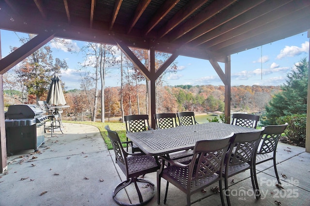 view of patio / terrace featuring grilling area