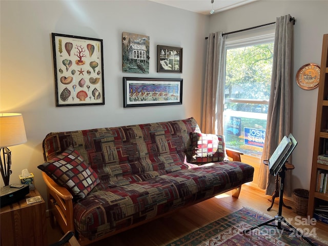 living room featuring hardwood / wood-style floors