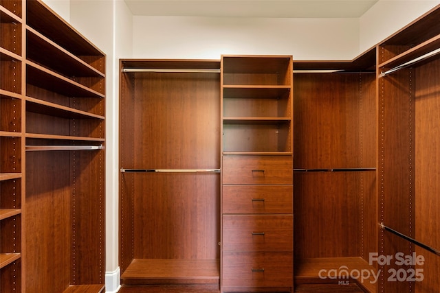 view of spacious closet