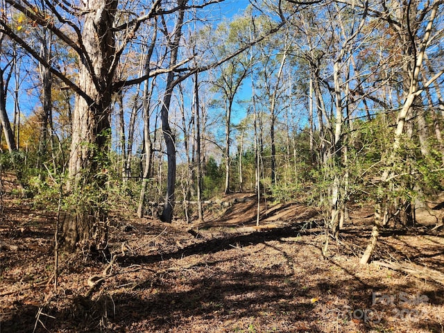 451 Low Bridge Rd, Forest City, NC 28043