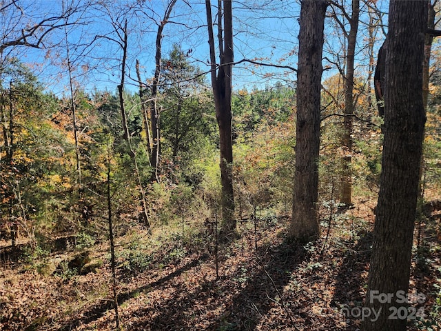 451 Low Bridge Rd, Forest City, NC 28043