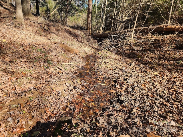 451 Low Bridge Rd, Forest City, NC 28043