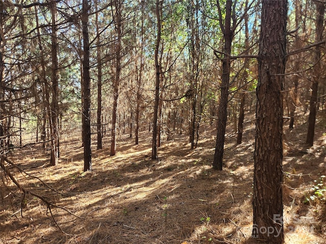 451 Low Bridge Rd, Forest City, NC 28043