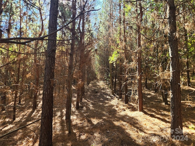 451 Low Bridge Rd, Forest City, NC 28043