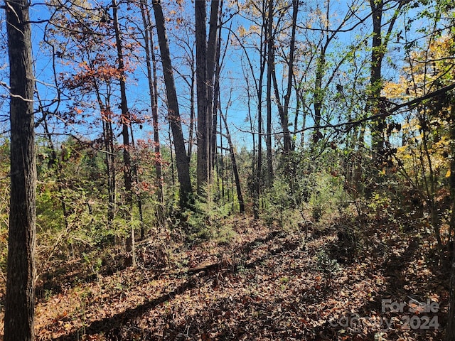 451 Low Bridge Rd, Forest City, NC 28043