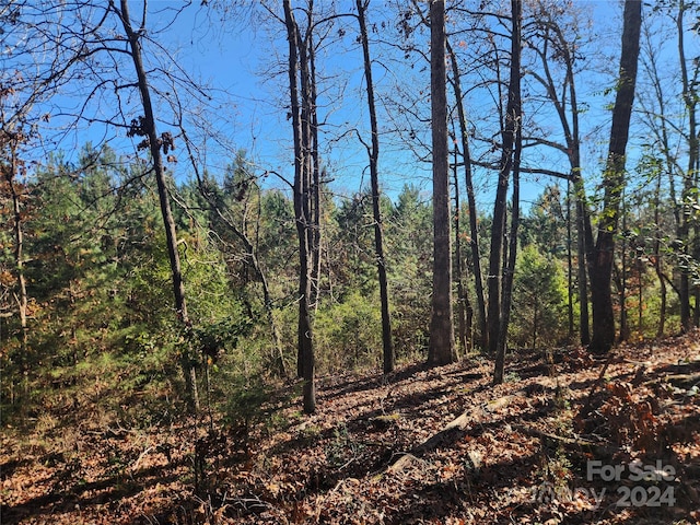451 Low Bridge Rd, Forest City, NC 28043