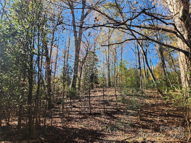 451 Low Bridge Rd, Forest City, NC 28043